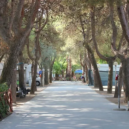 Camping Villaggio Lido Del Gargano 3* Rodi Garganico